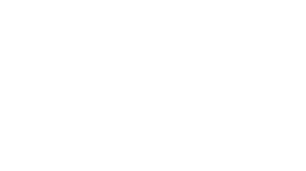 Logo White